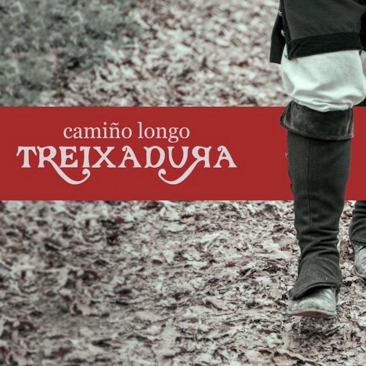Album cover of Camiño longo
