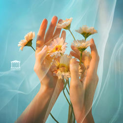 Cover of Peace Finds the Silence by undefined