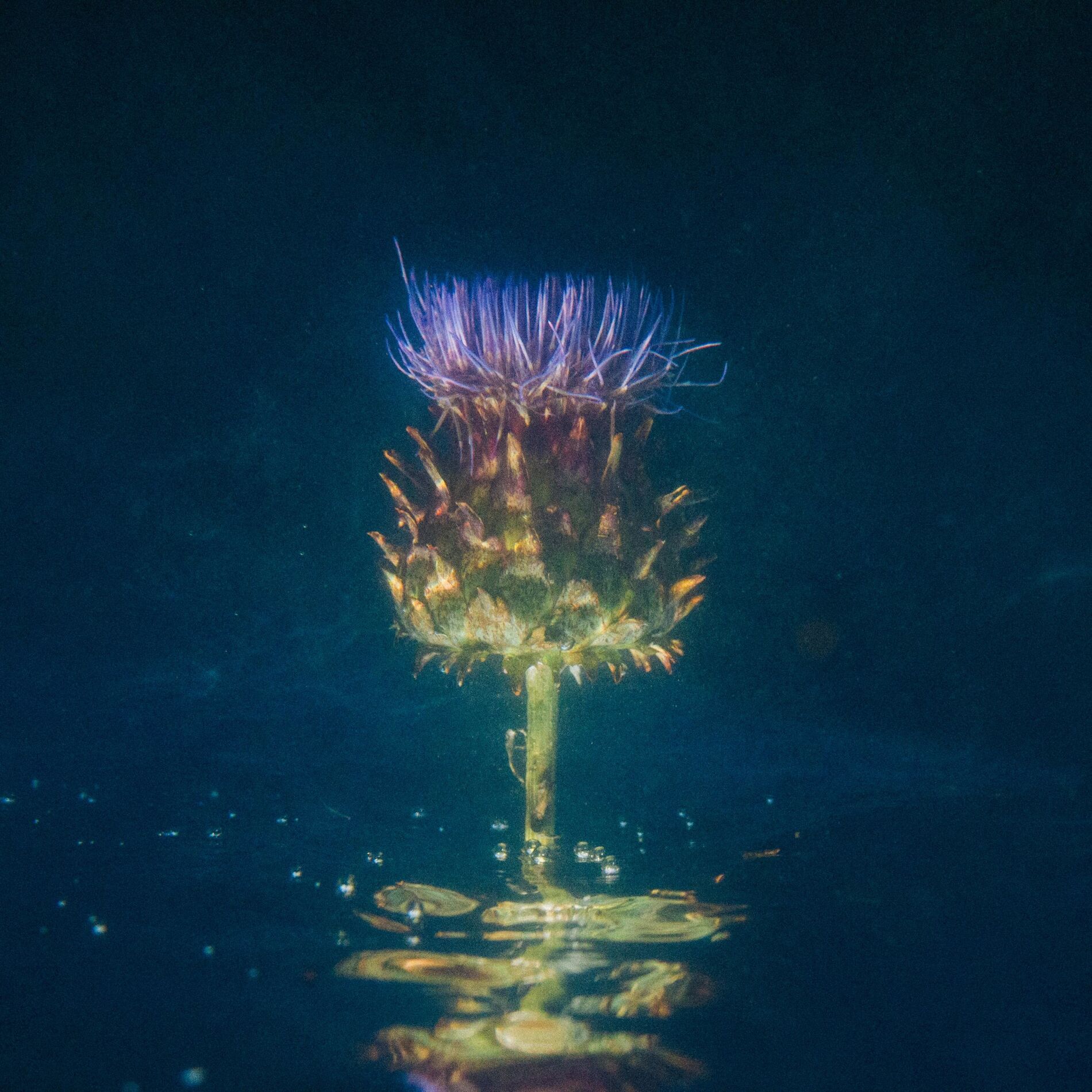 Album cover of Correct Me If I'm Wrong