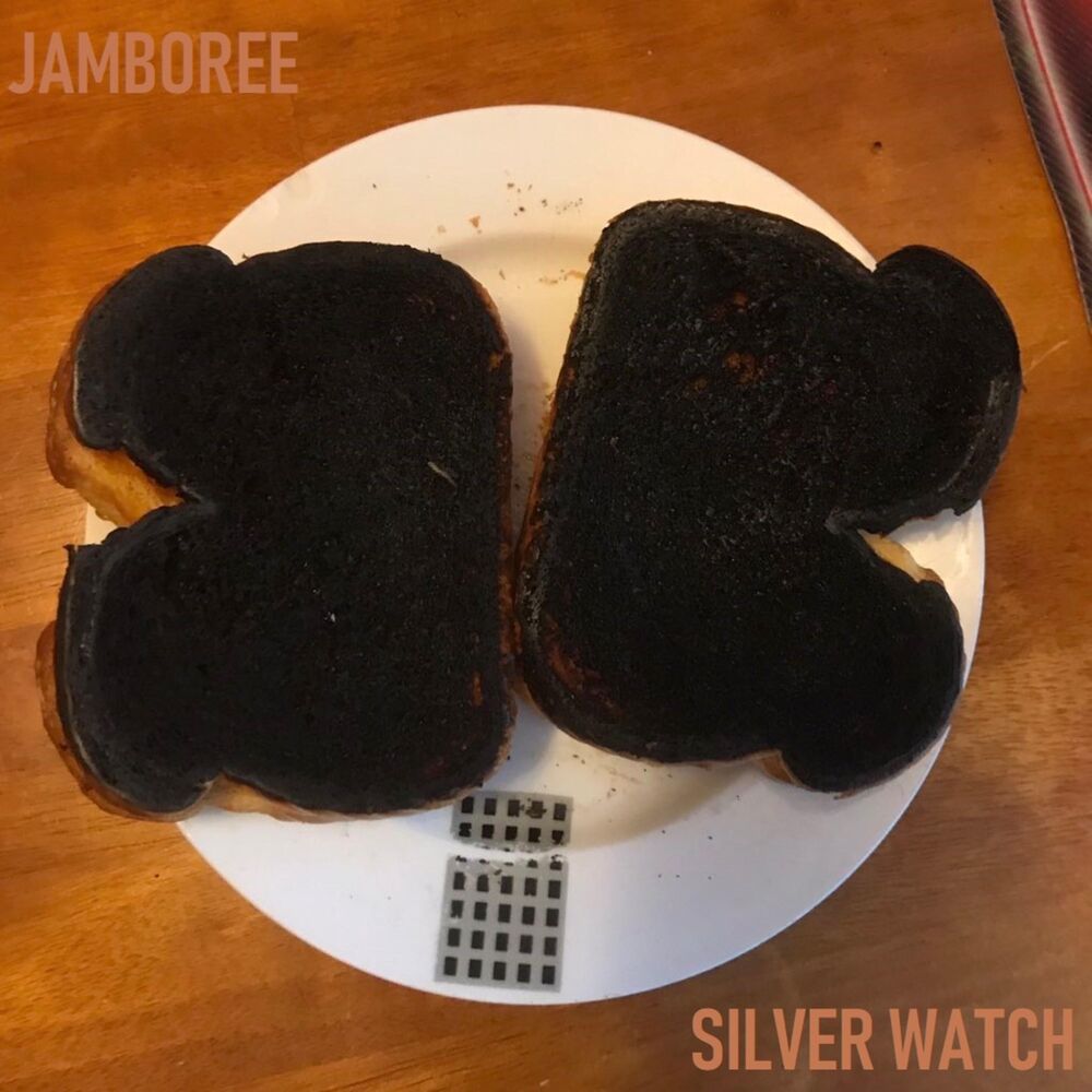Picture of Silver Watch