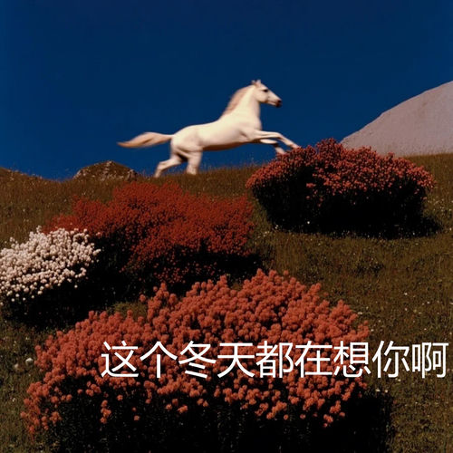 这个冬天都在想你啊