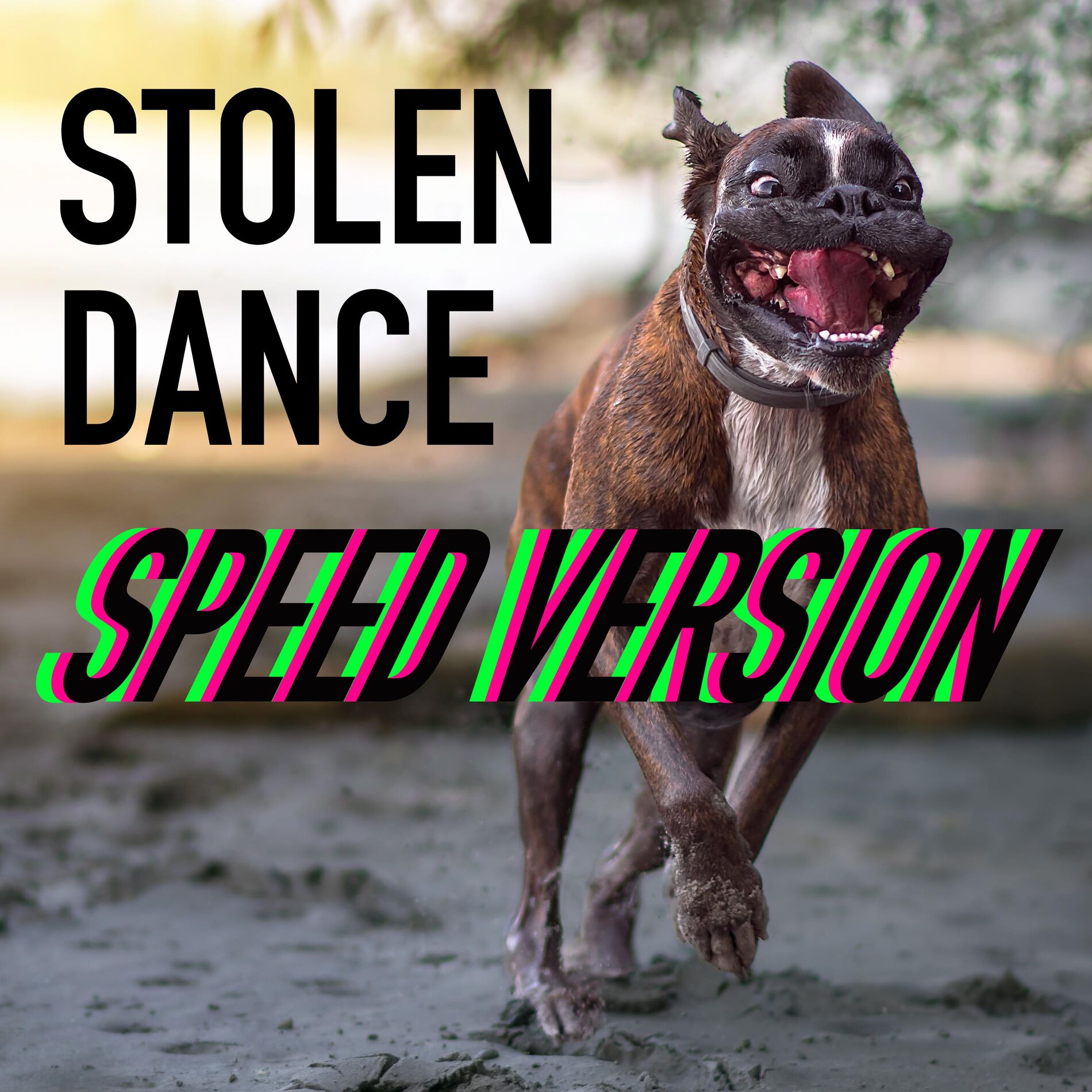 Album cover of Stolen Dance (Speed Version)