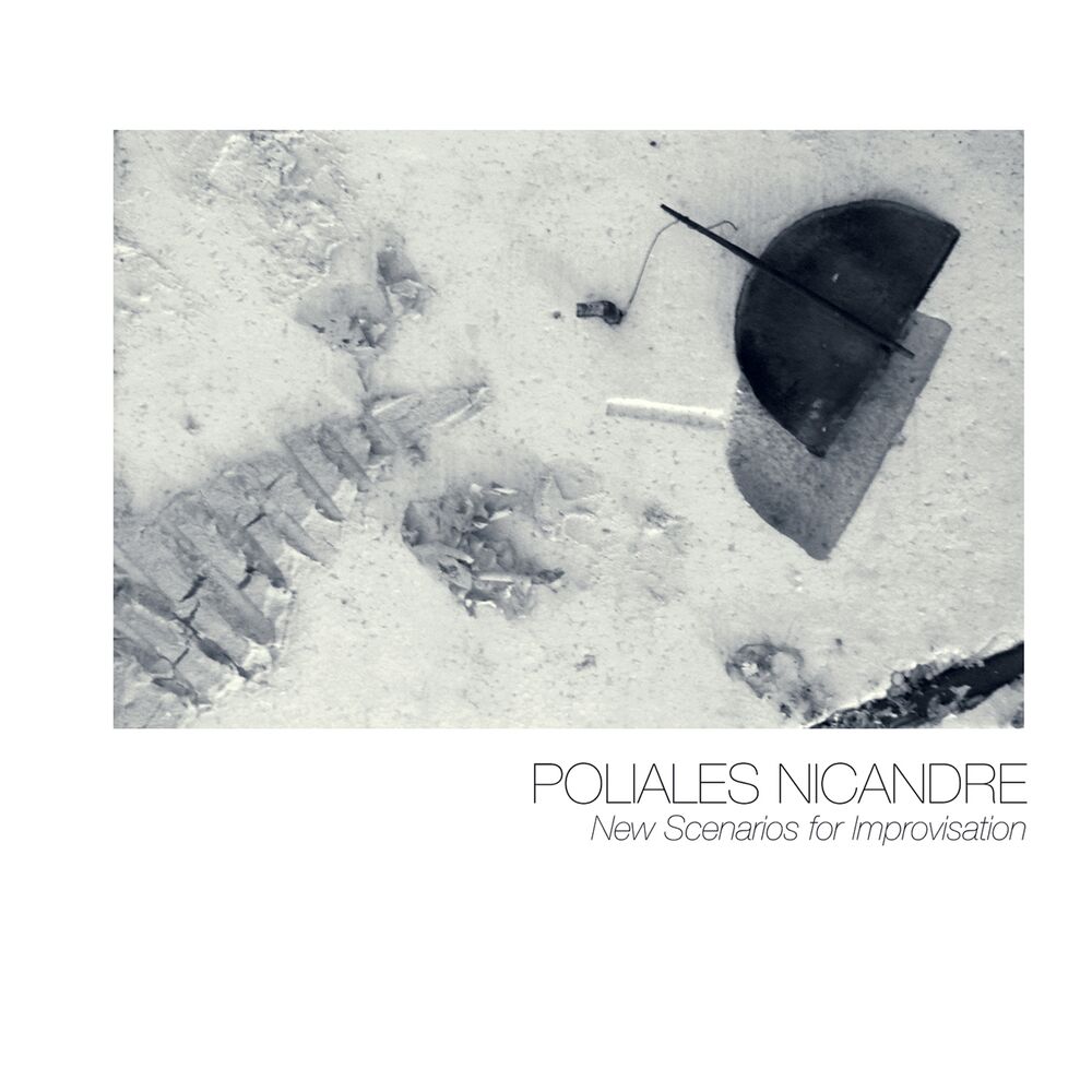 Picture of Poliales Nicandre (New Scenarios for Improvisation)