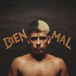 Cover of BIEN O MAL