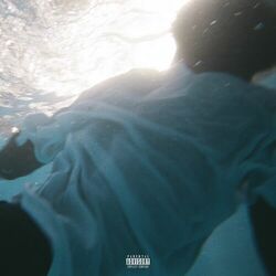 Cover of Violet