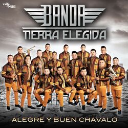 Cover of Alegre y Buen Chavalo