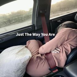 Cover of Just The Way You Are