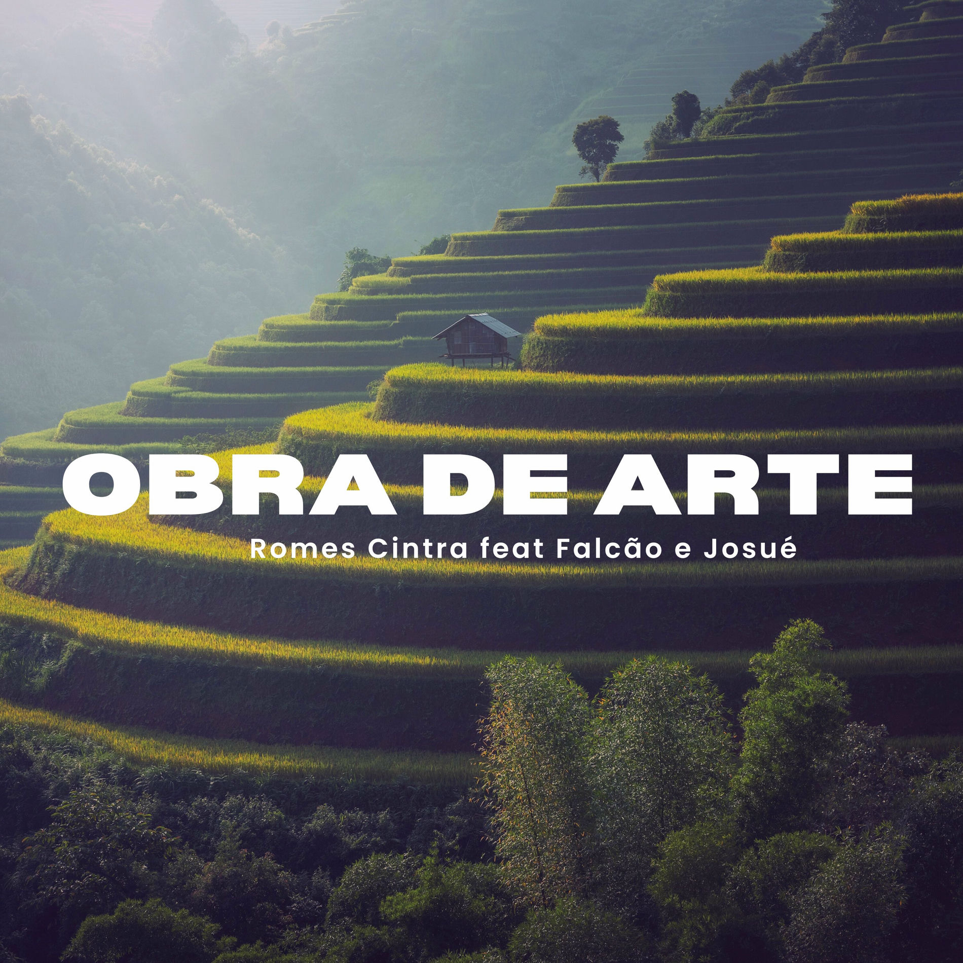 Album cover of Obra de Arte