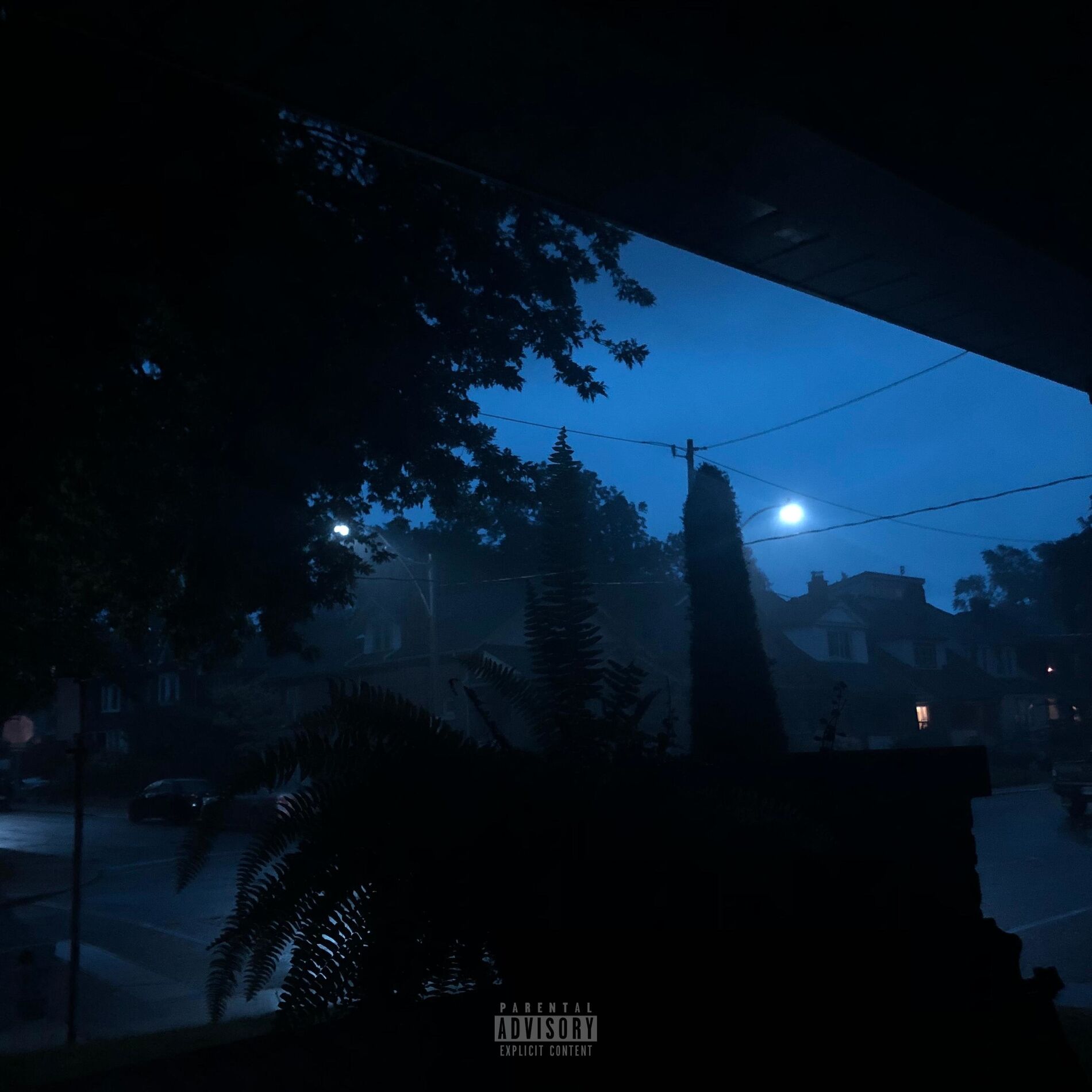 Album cover of Oakflesh