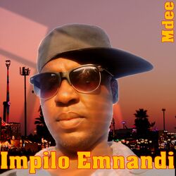 Cover of Impilo Emnandi