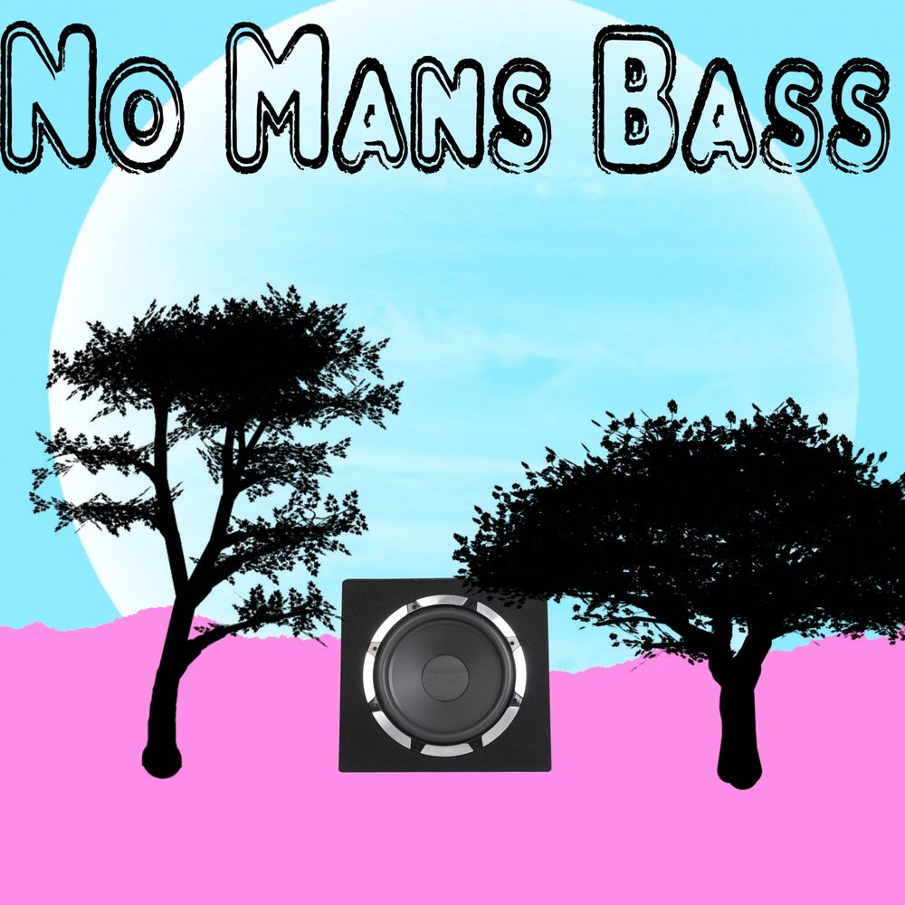 Picture of No Mans Bass