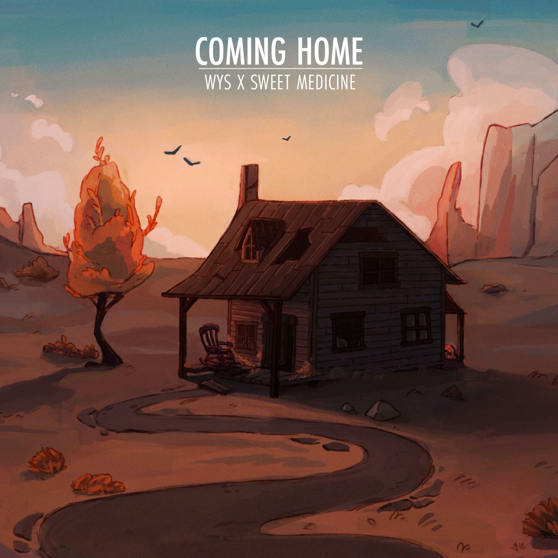 Album cover of Coming Home