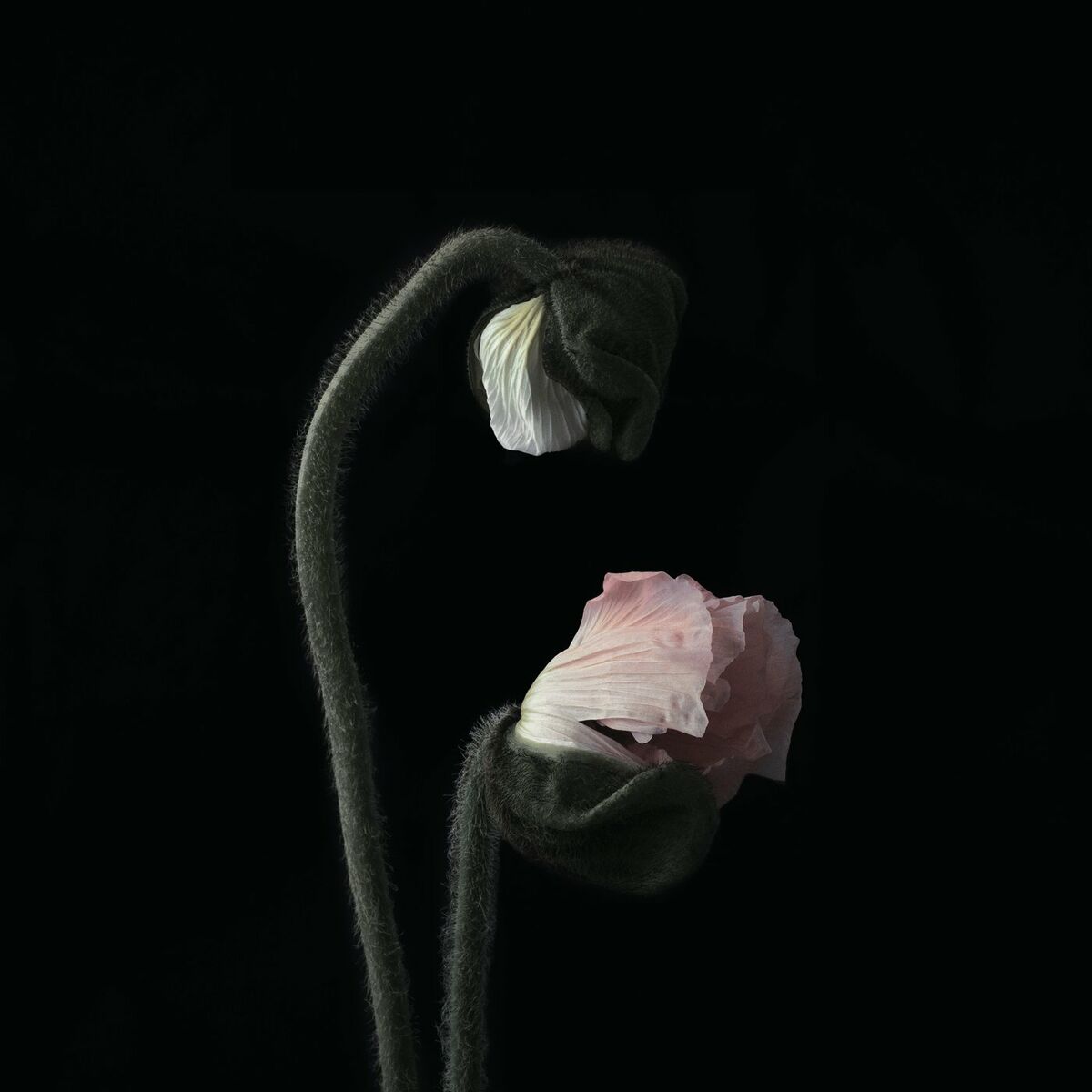 Album cover of Secrets And Lies
