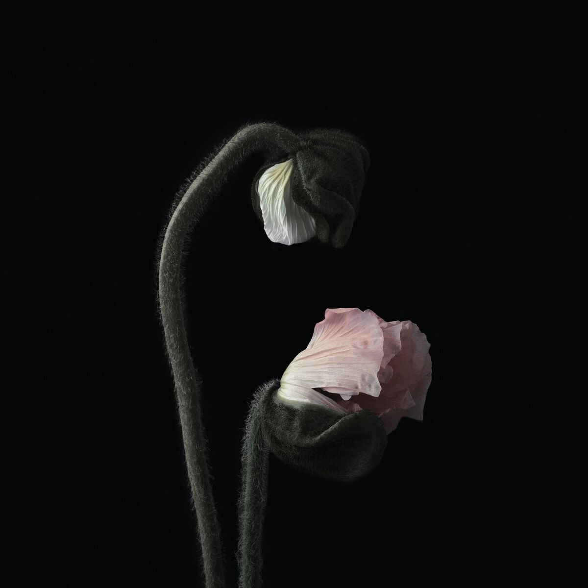 Album cover of Secrets And Lies