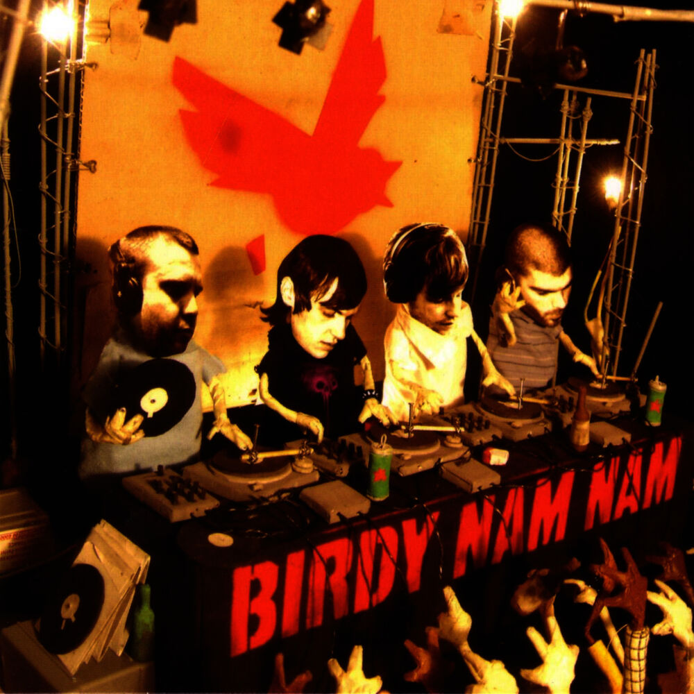 Picture of Birdy Nam Nam
