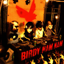 Cover of Birdy Nam Nam