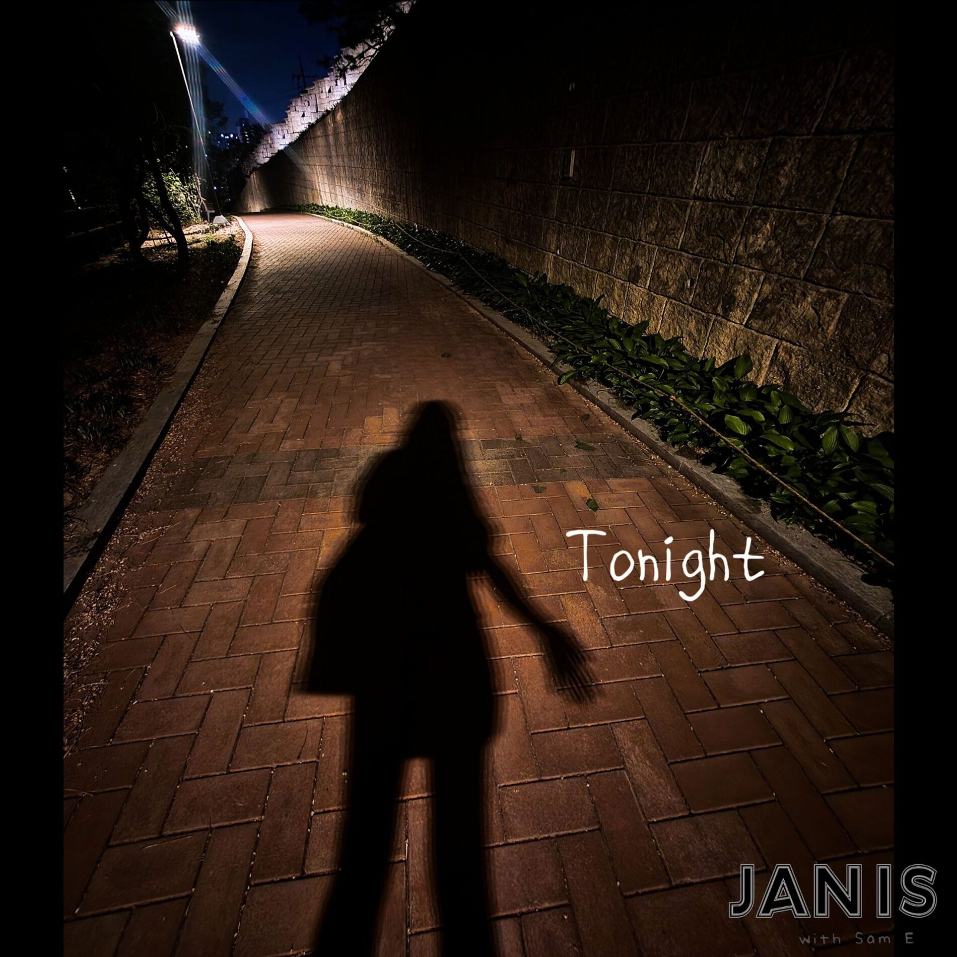 Album cover of JANIS Tonight