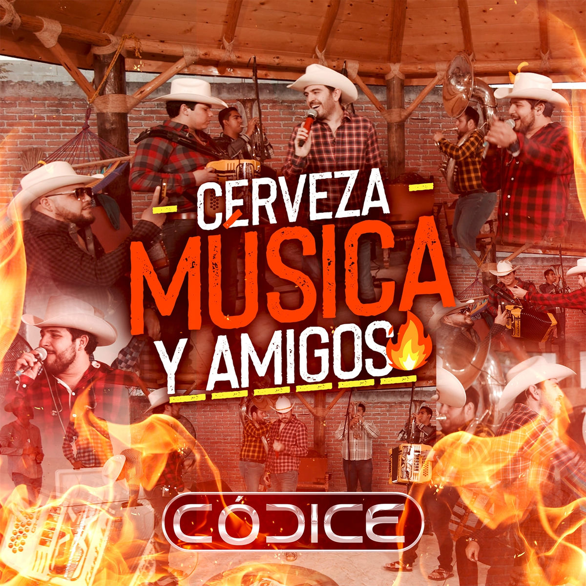 Album cover of Cerveza, Música y Amigos