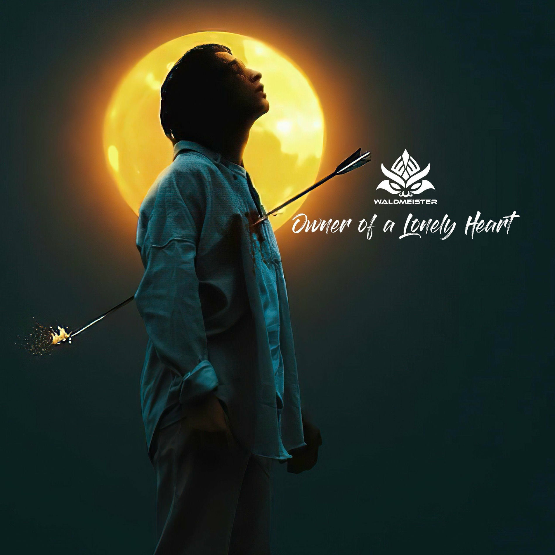 Album cover of Owner of a Lonely Heart