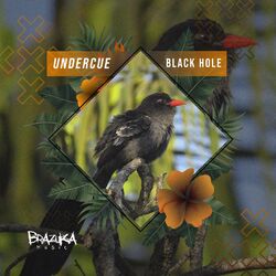 Cover of Black Hole