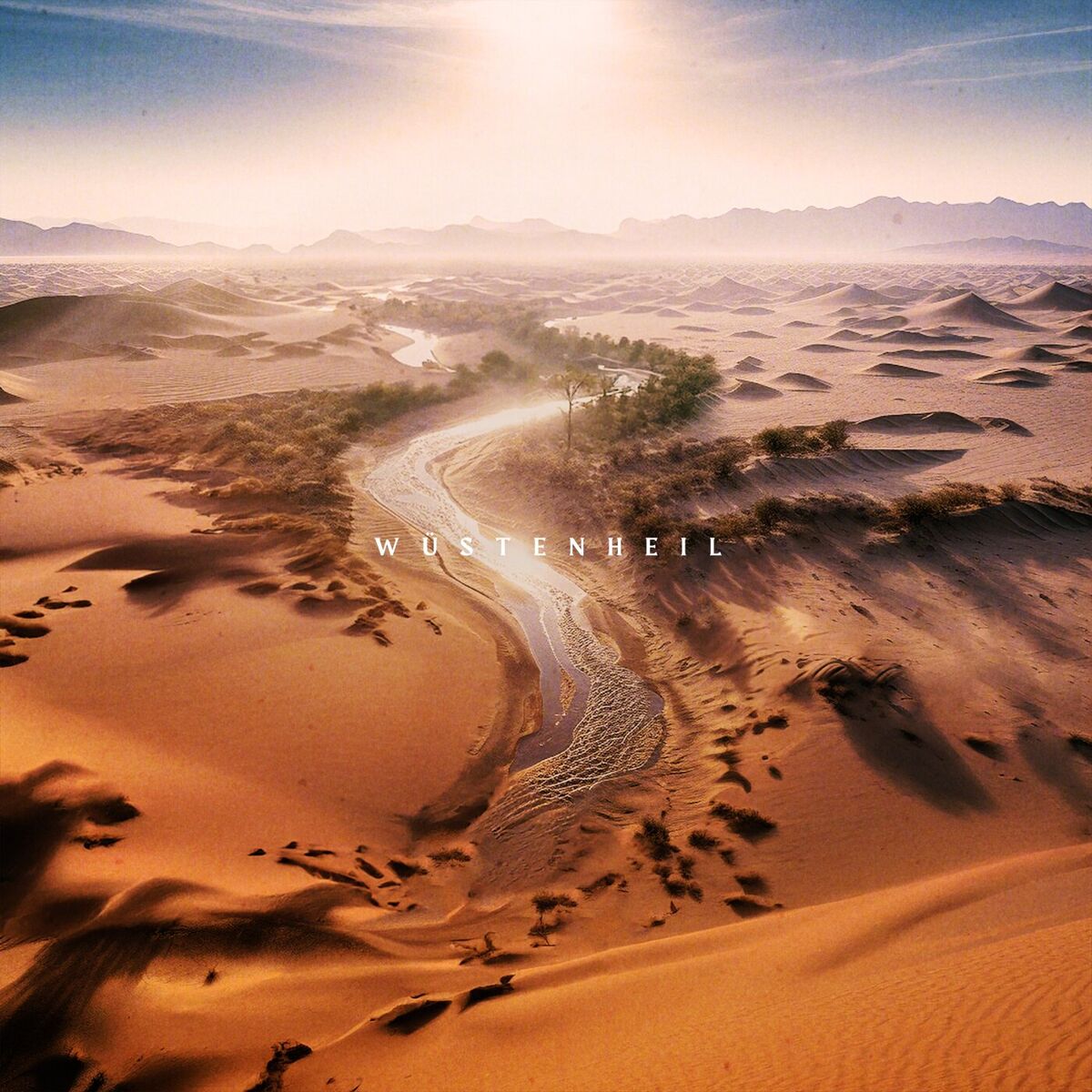 Album cover of Du mein Gott