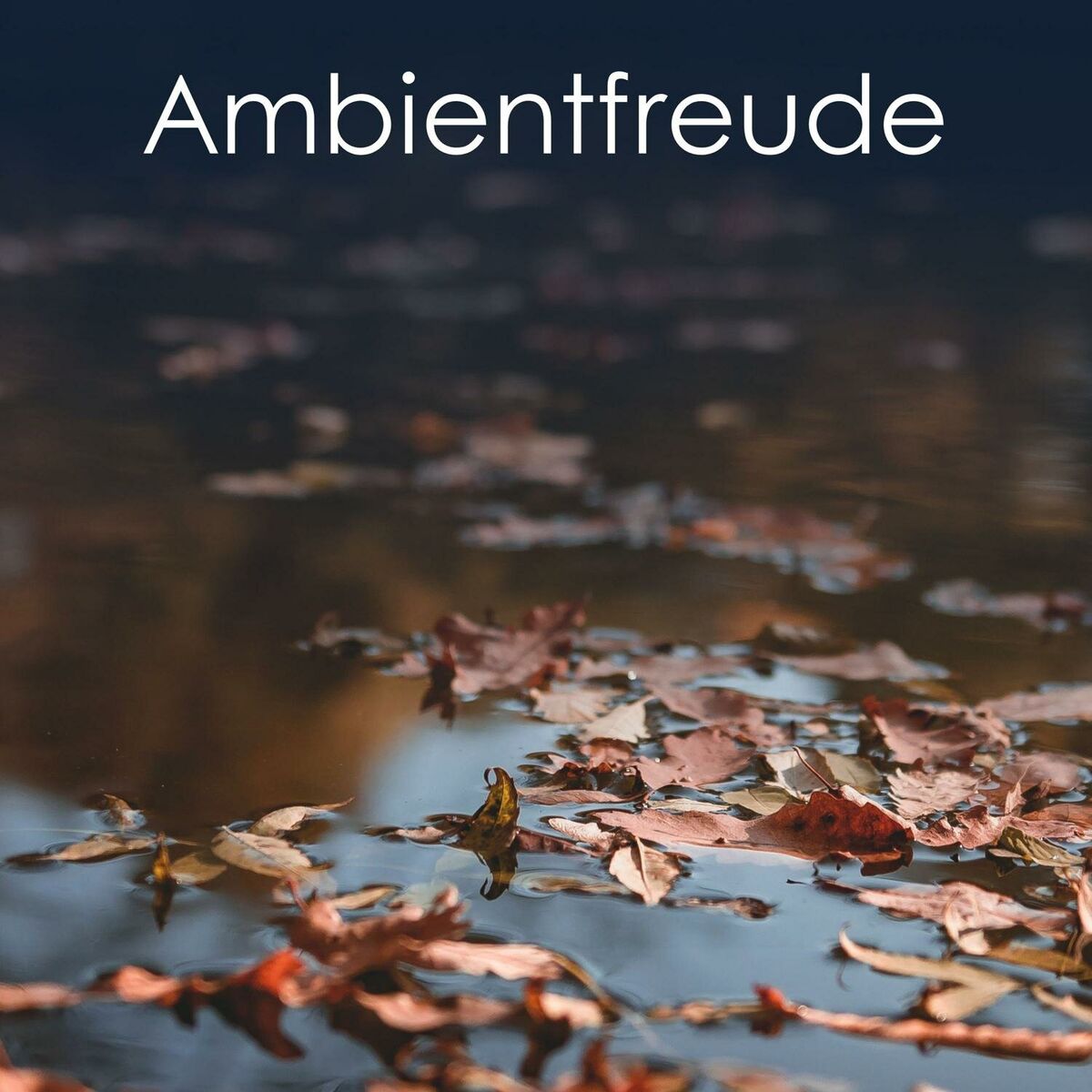 Album cover of Ambientfreude