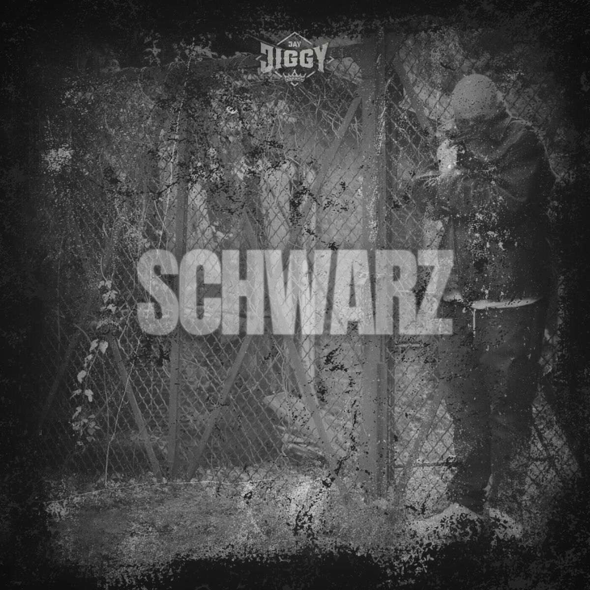 Album cover of Schwarz