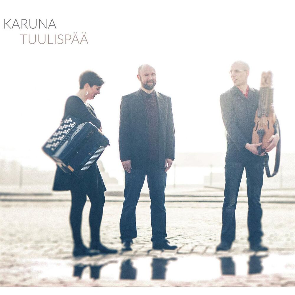 Picture of Tuulispää