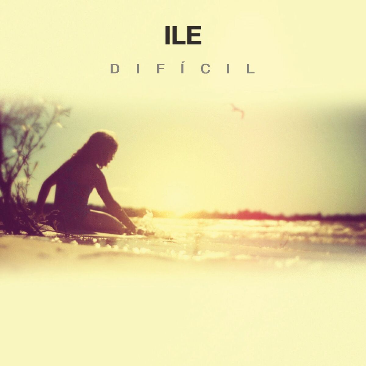 Album cover of Difícil