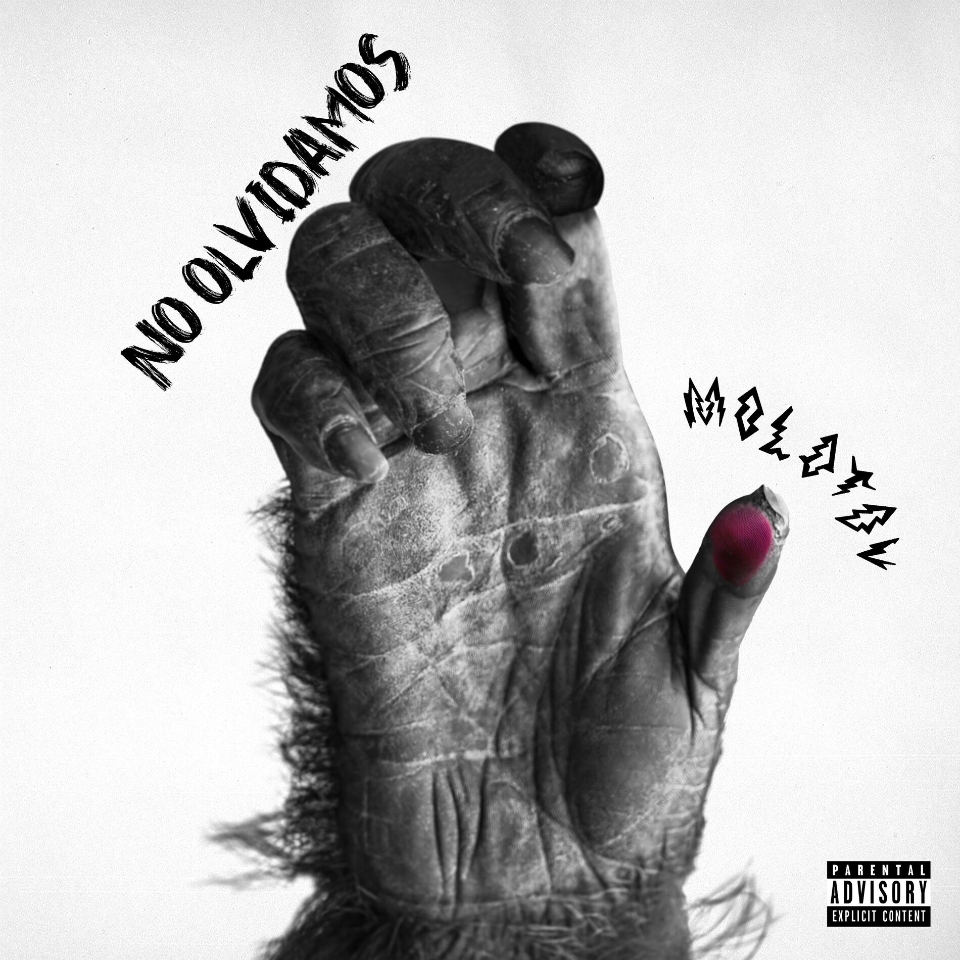 Album cover of No Olvidamos