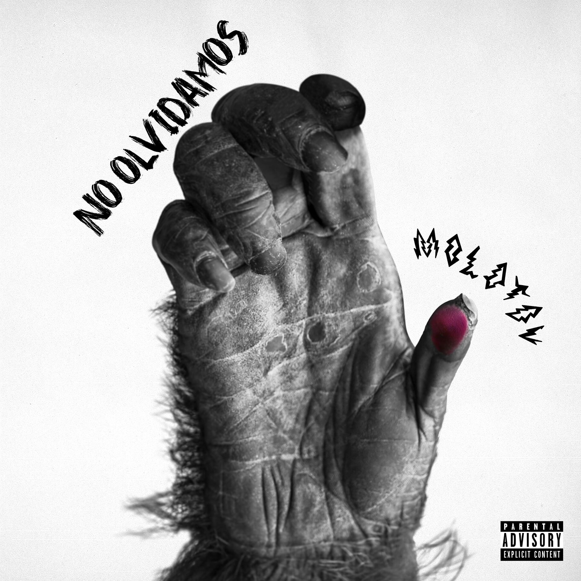 Album picture of No Olvidamos