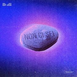 Cover of Non ci sei (Remix)