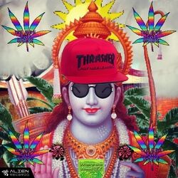 Cover of You Feel Like Shanti