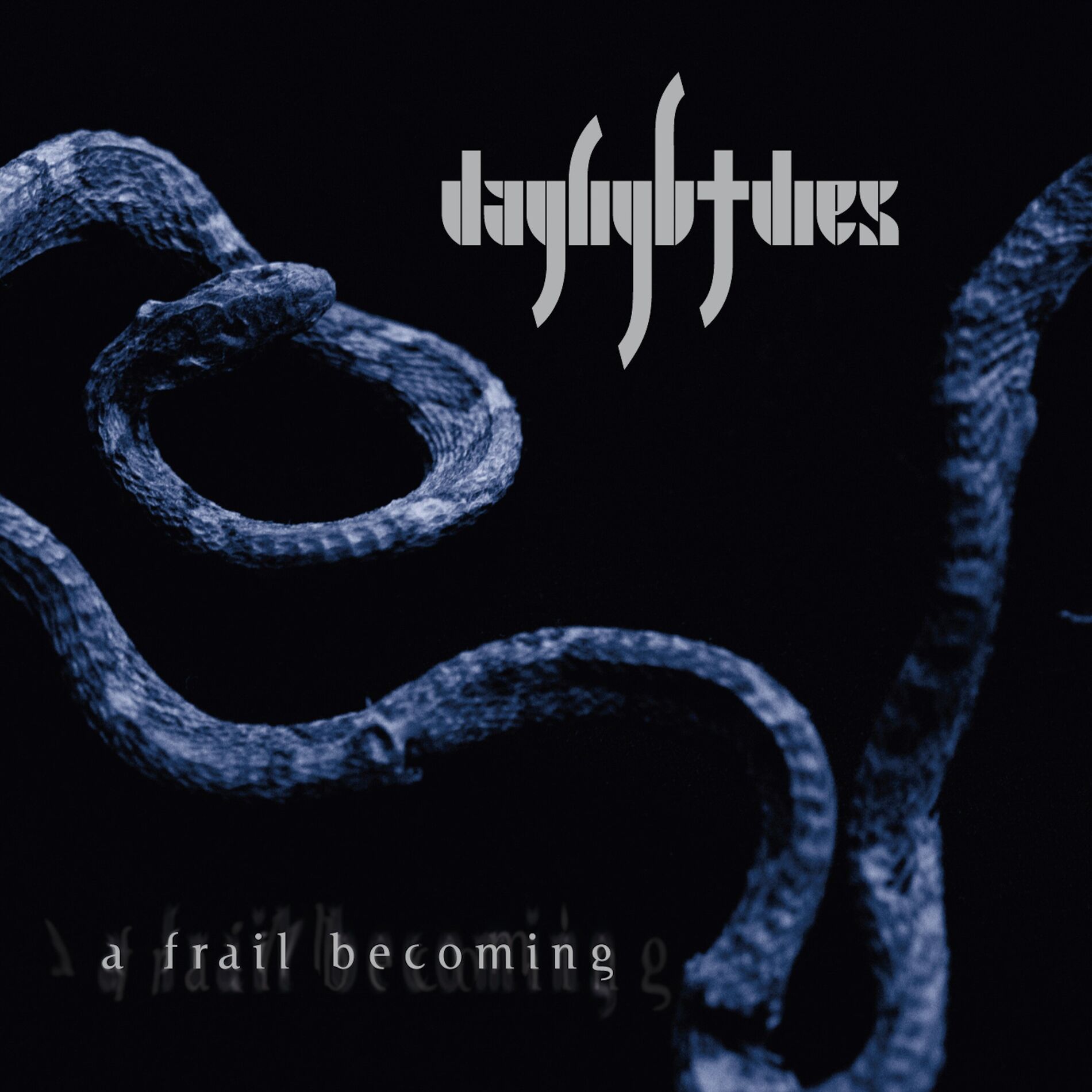 Album cover of A Frail Becoming