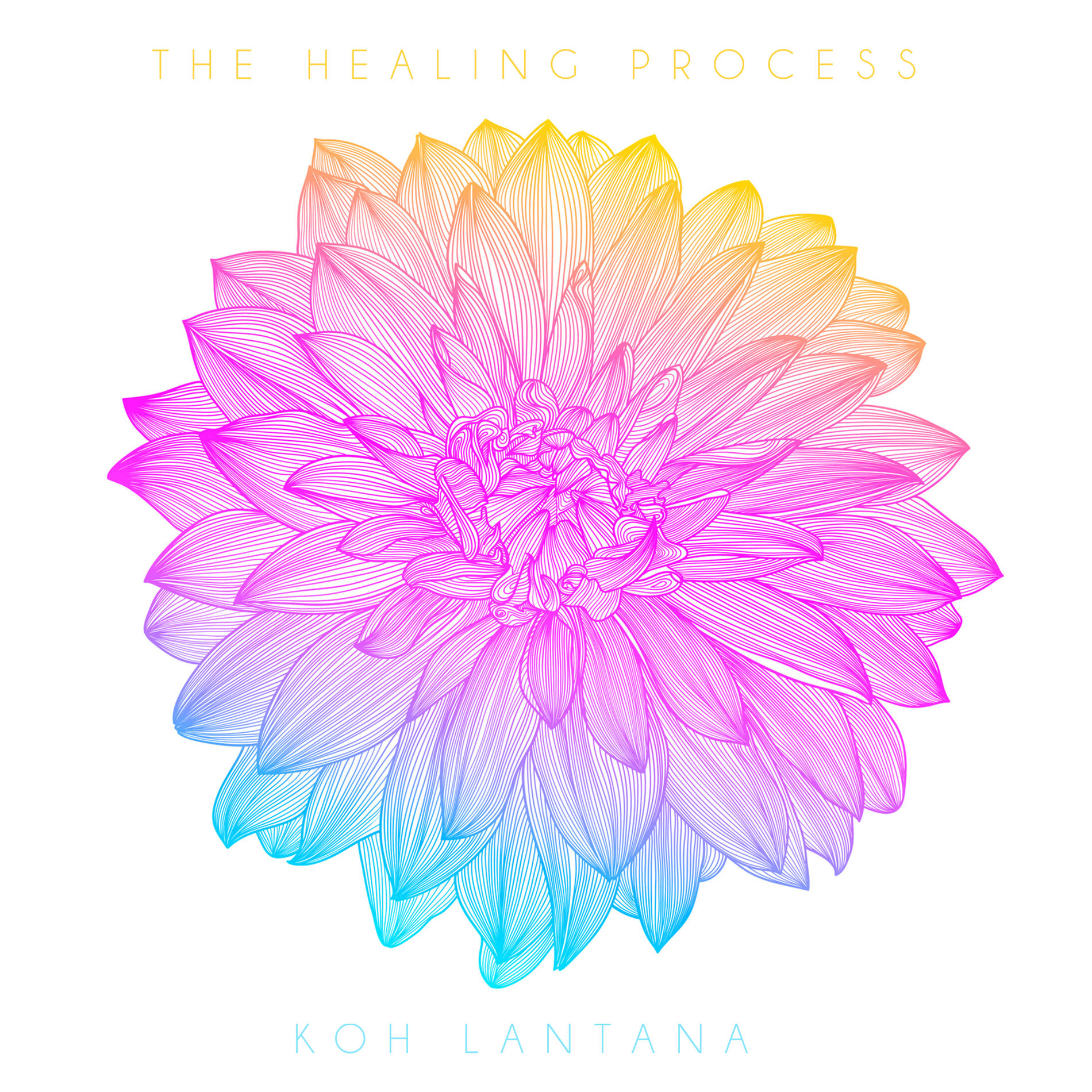 Album cover of The Healing Process