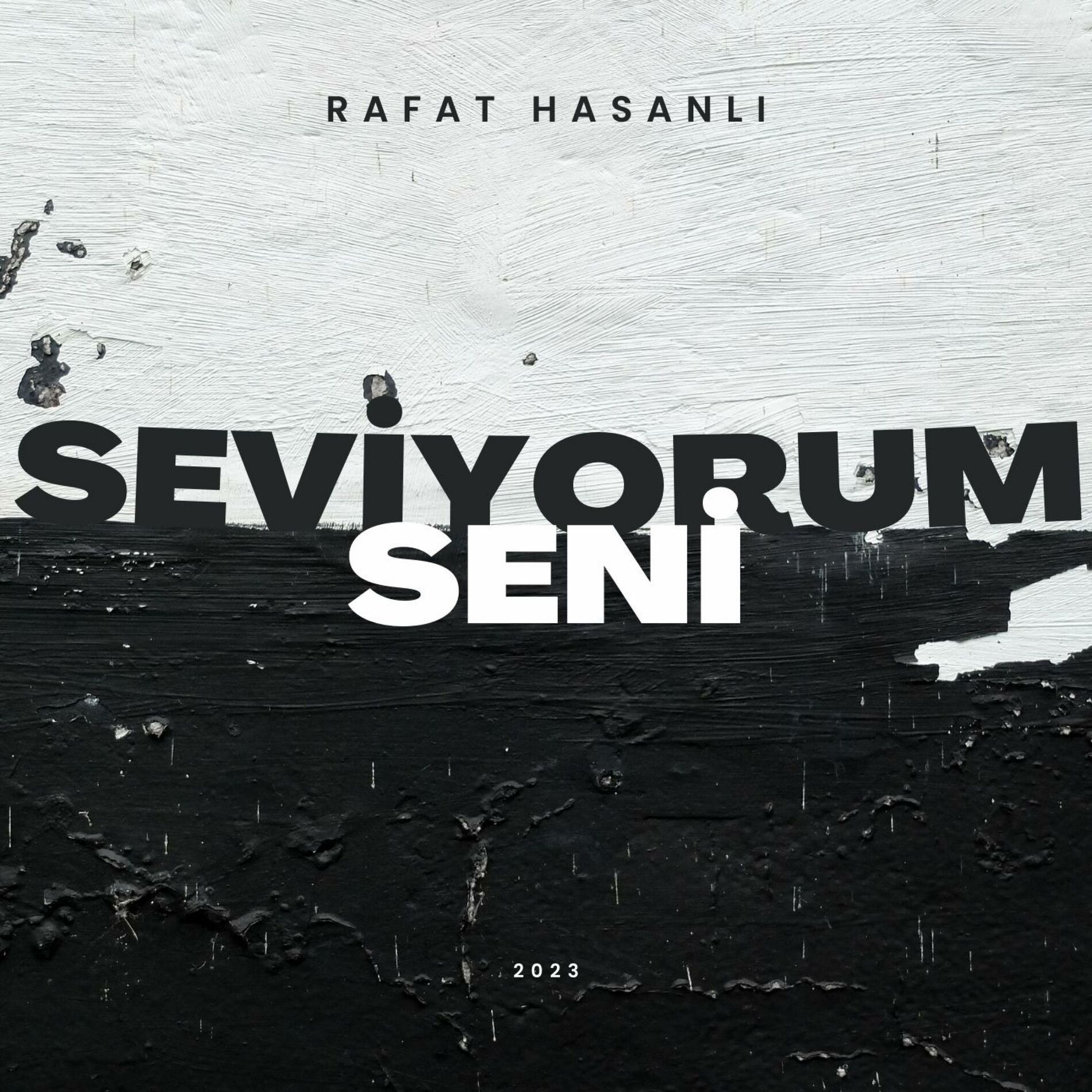 Album cover of Seviyorum Seni