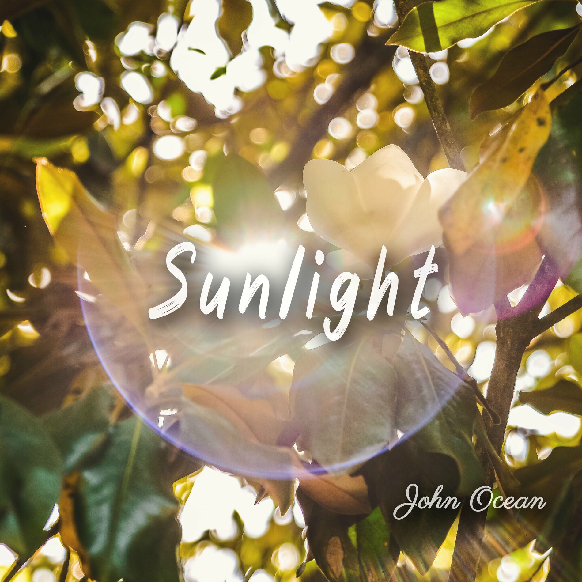 Album cover of Sunlight