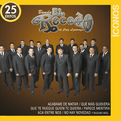Cover of Íconos 25 Éxitos