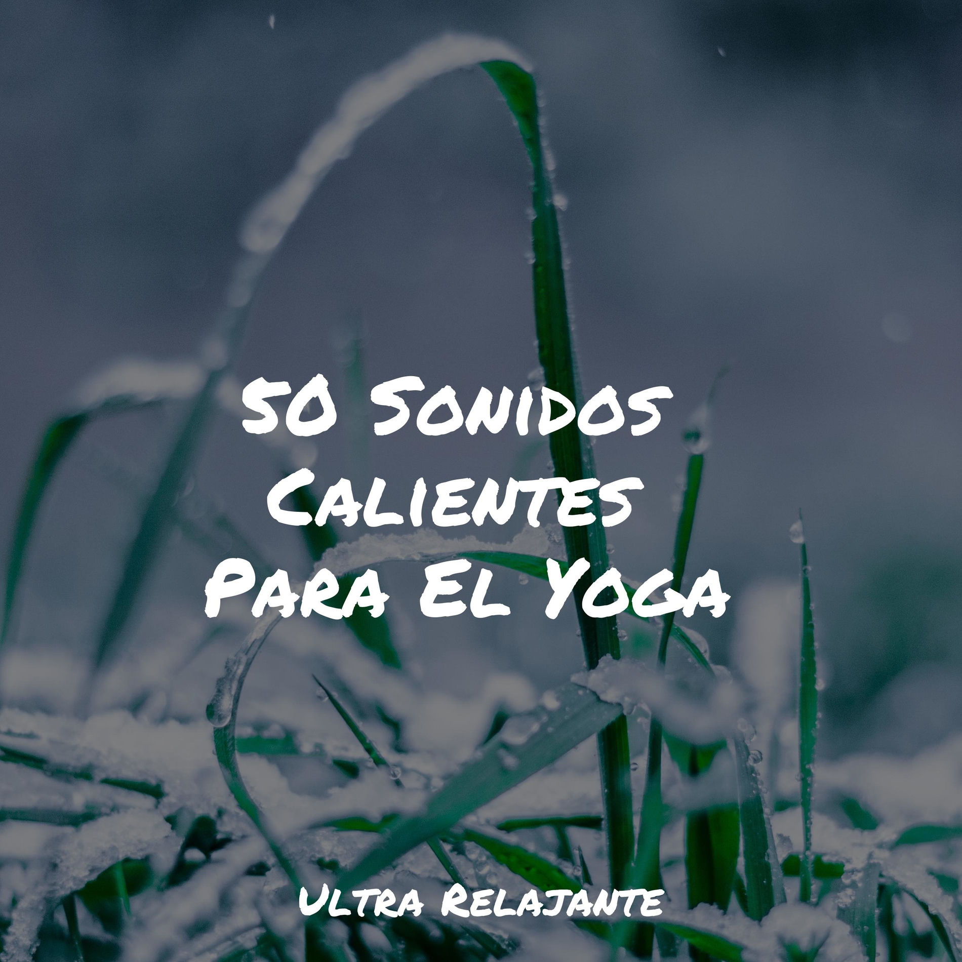 Album cover of 50 Sonidos Calientes Para El Yoga
