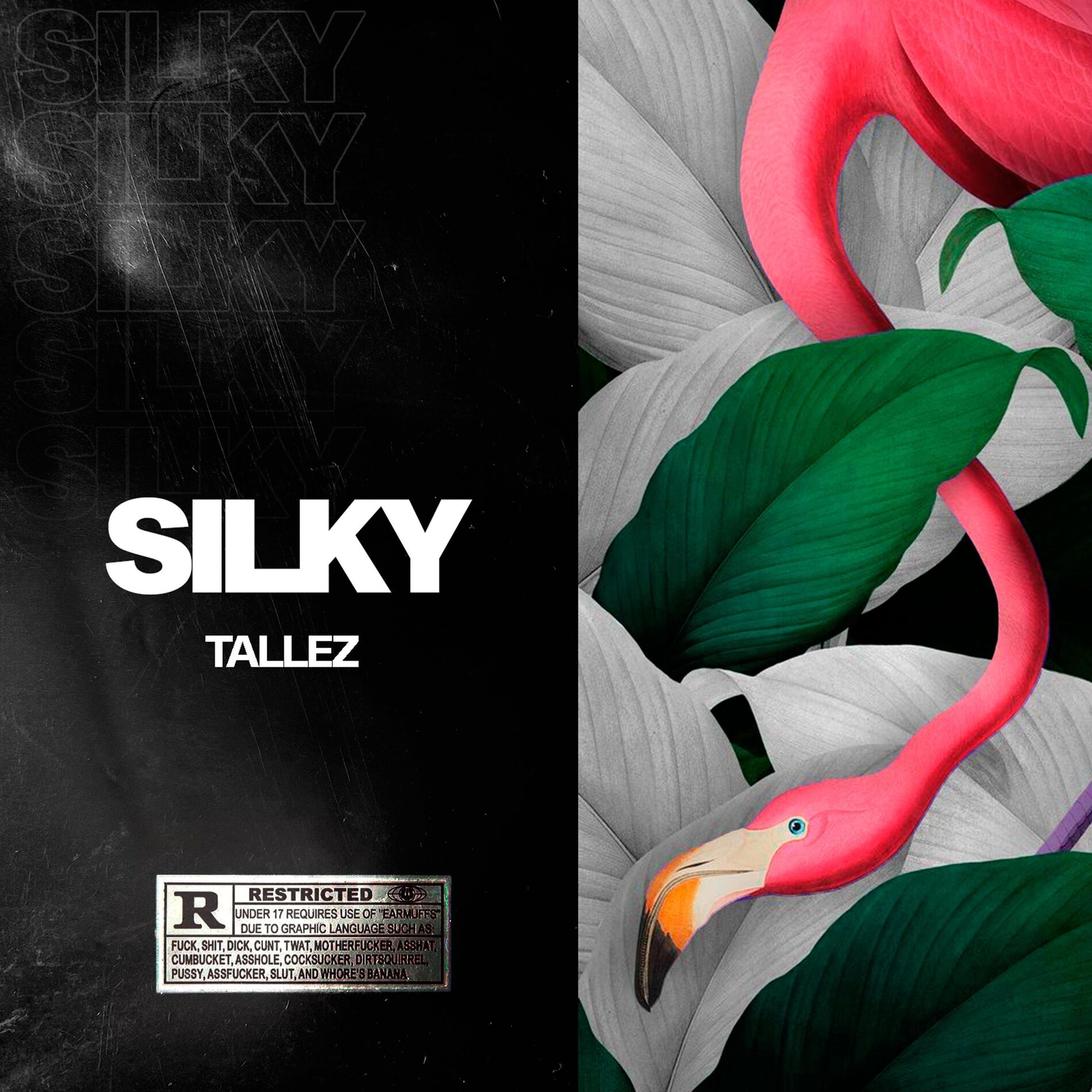 Album cover of Silky