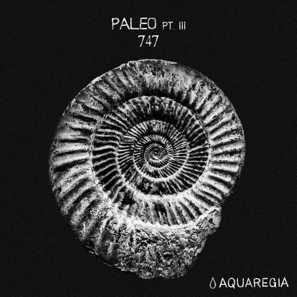 Picture of Paleo, Pt. 3