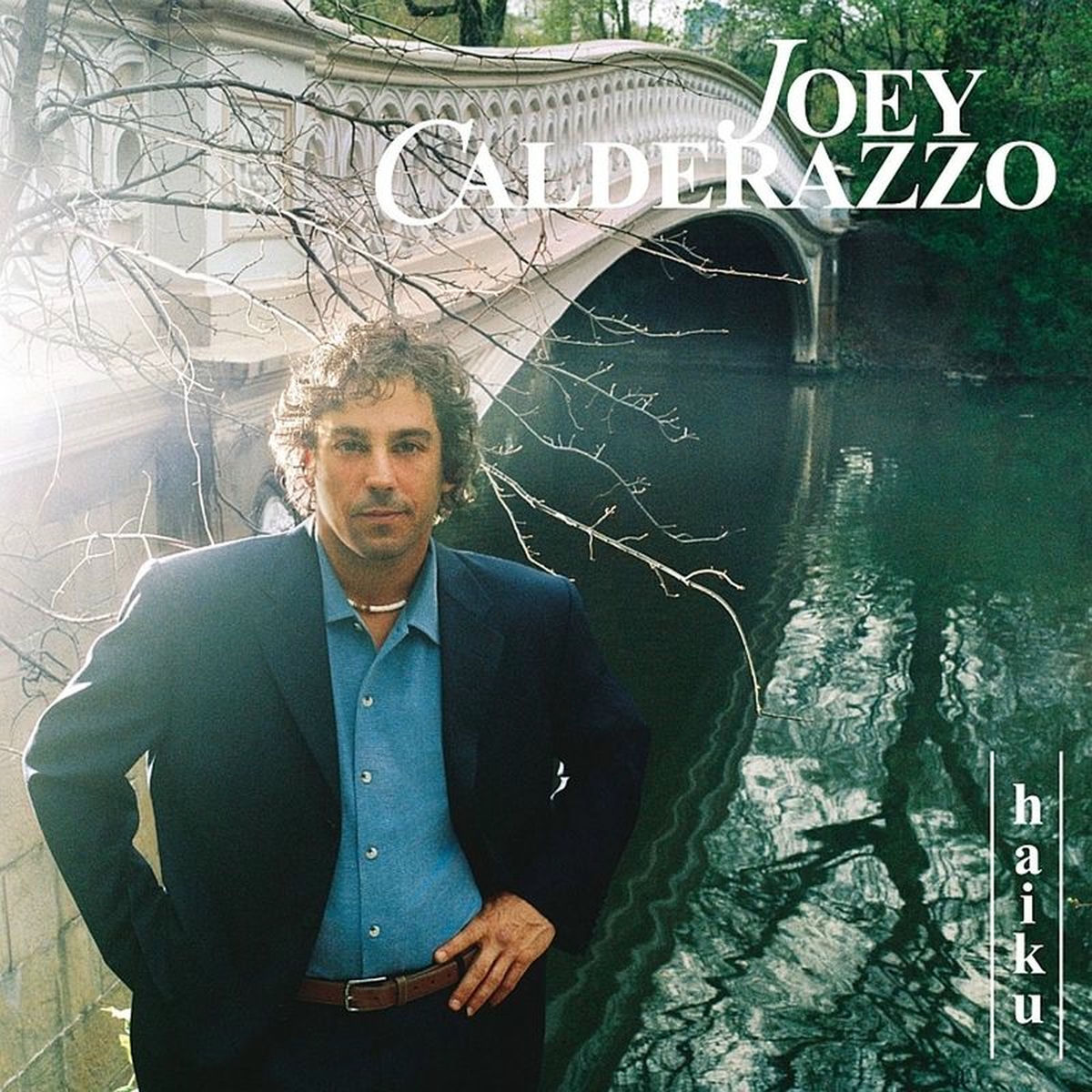 Album cover of Haiku