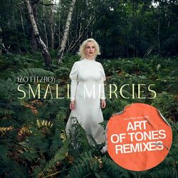Cover of Small Mercies (Art Of Tones Remixes)