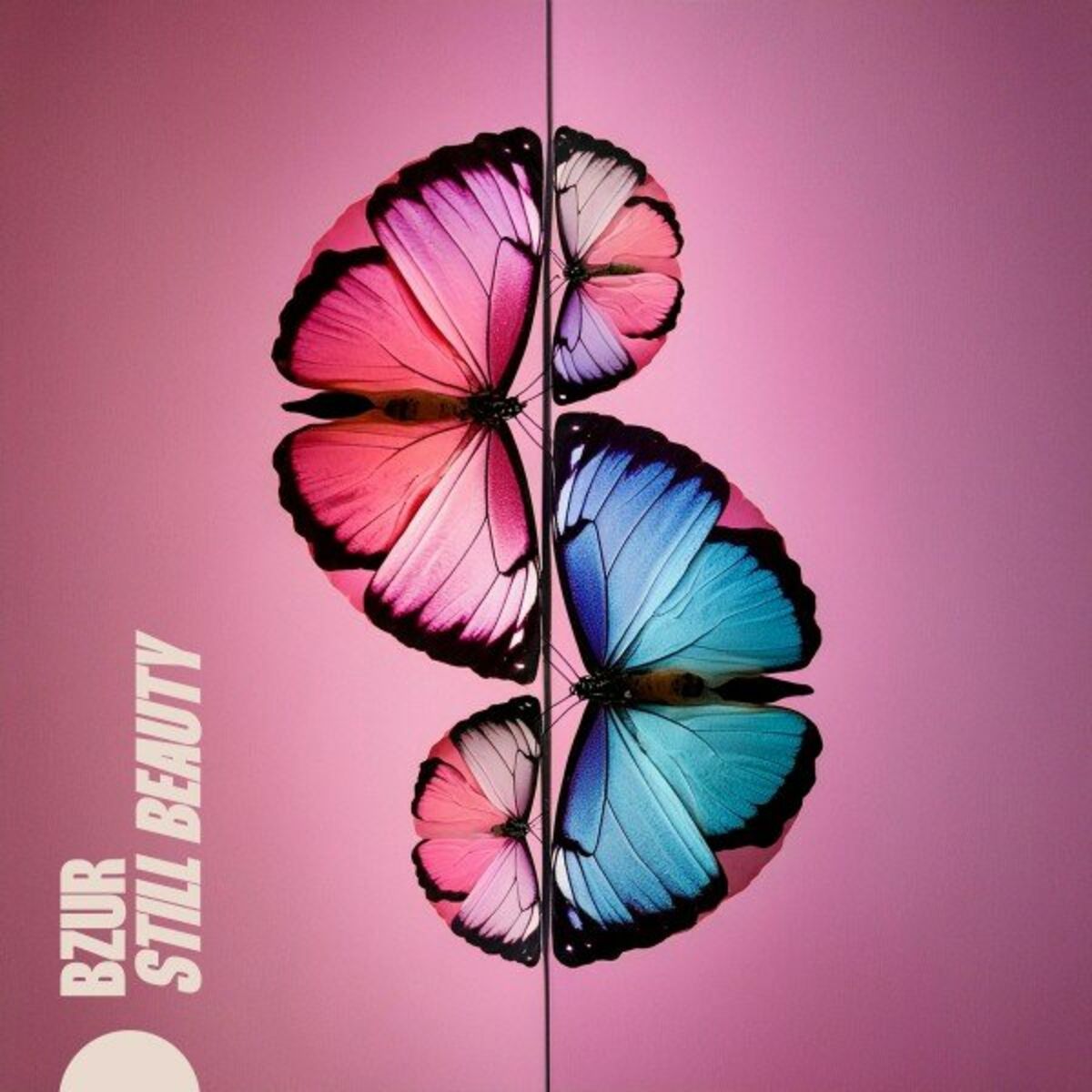 Album cover of Still Beauty