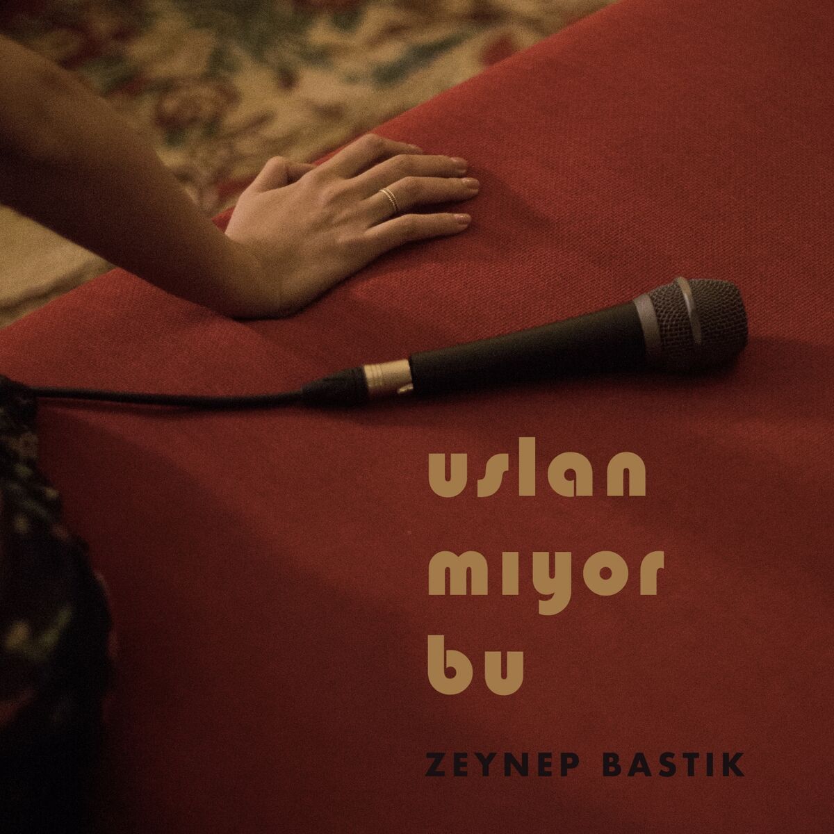 Album cover of Uslanmıyor Bu