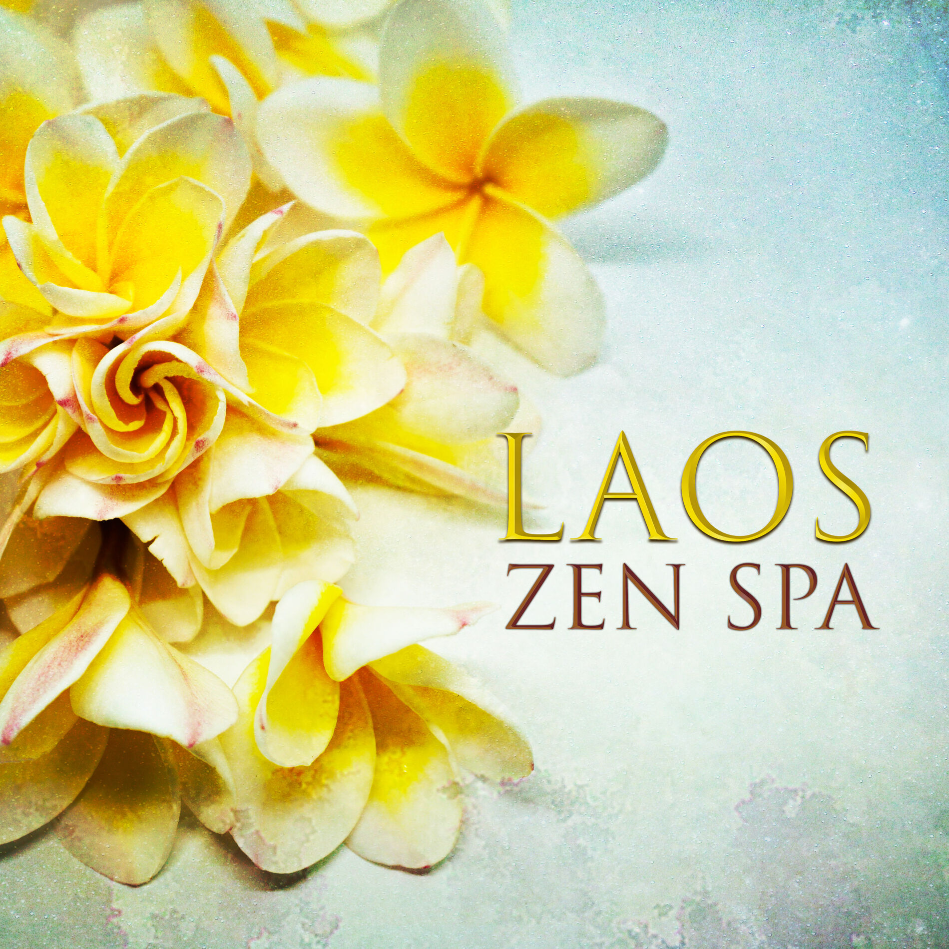 Album cover of Laos Zen Spa: Over Three Hours Music for Massage, Wellness & Beauty Treatments, Yoga & Meditation, 54 Tracks Instrumental New Age 