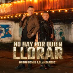 Cover of No Hay Por Quien Llorar (Remix)