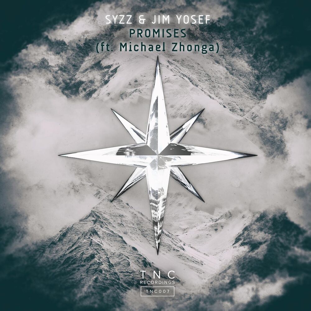 Picture of Promises (feat. Michael Zhonga) [Radio Edit]