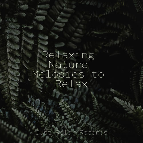 Relaxing Nature Melodies to Relax