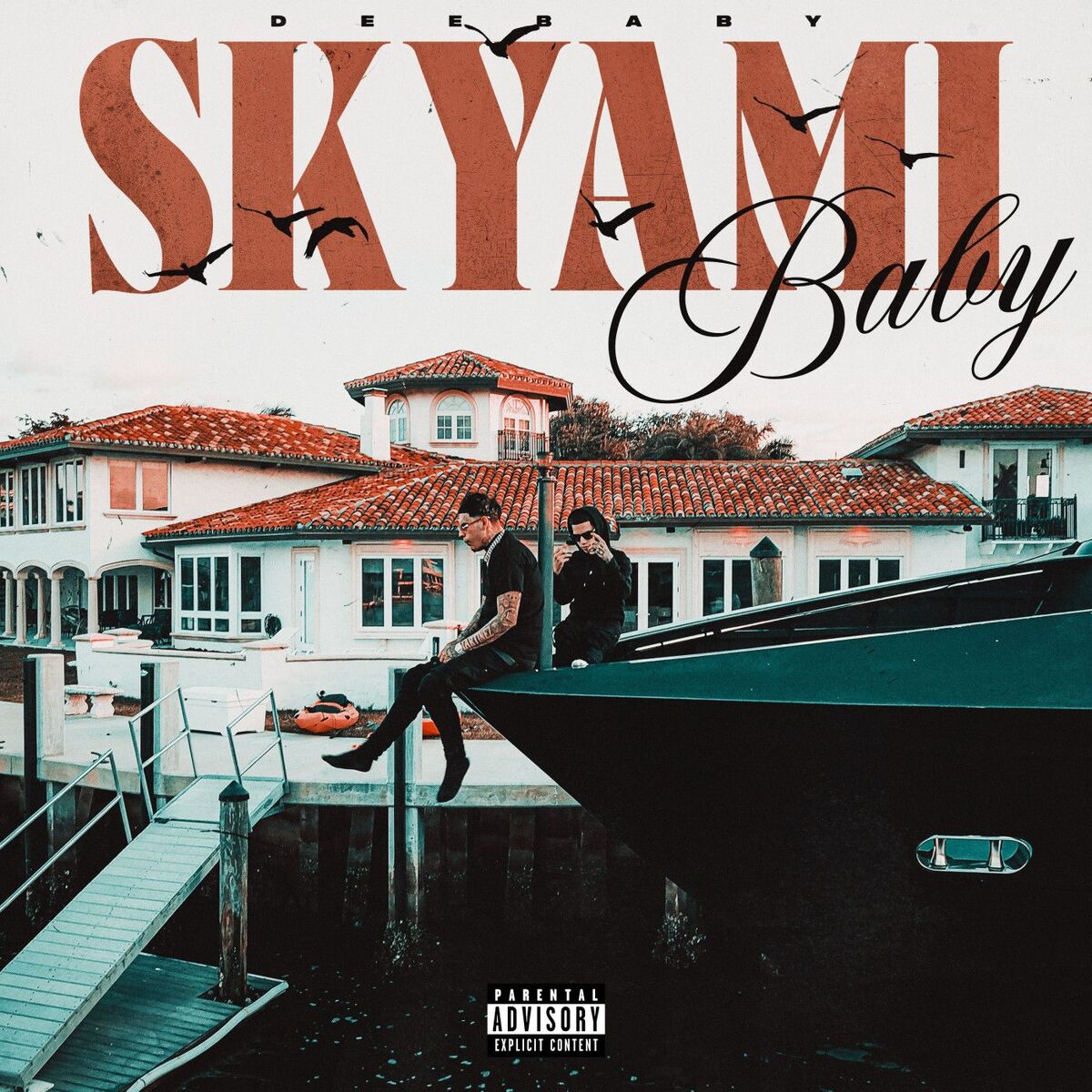 Album cover of Skyami Baby